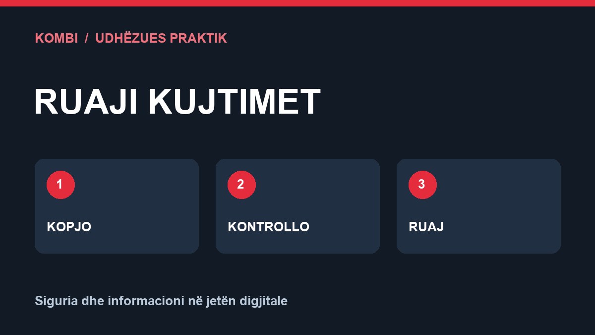 Ruaji kujtimet: kopjo, kontrollo dhe ruaj fotografitë.